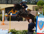 CURCIO CARRY MONEY CampITA2013- S5 0345 : CARRY MONEY, CURCIO SERENA, Campionati Italiani 2013, Cattolica, Horse Riviera Resort, foto di Stefano Secchi ©